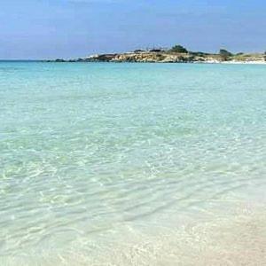 Villa Singola Amanda - 500M Dal Mare Pulsano Bagian luar foto